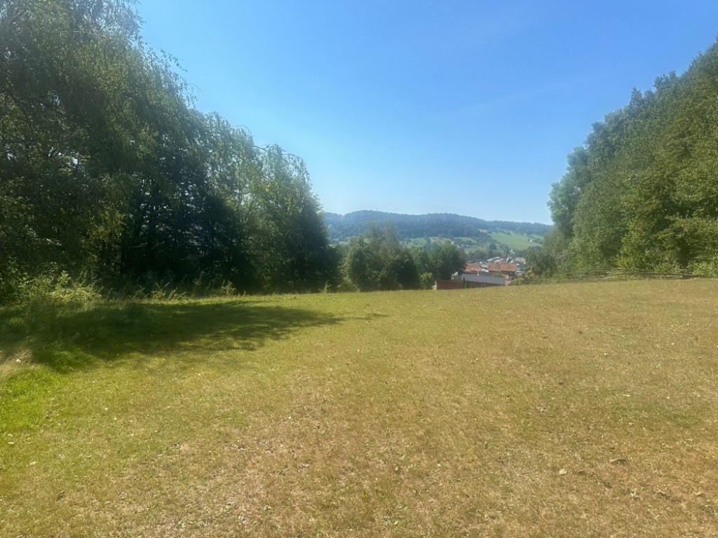 Freyung - Baugrundstück mit Wiesenflächen in Freyung