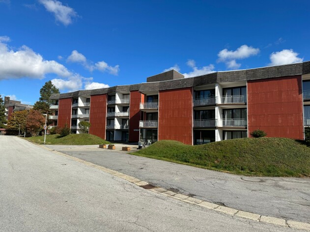 1-Zimmer-Wohnung - Renoviertes Appartement in Altreichenau