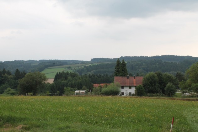Landwirtschaftliches Anwesen - Passau-Nord 15 km: Landwirtschaftliches Anwesen zur Pferdehaltung, Wohnhaus, Stall, Scheune, in fast