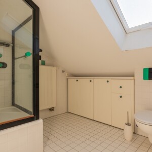 Tageslichtduschbad (1)