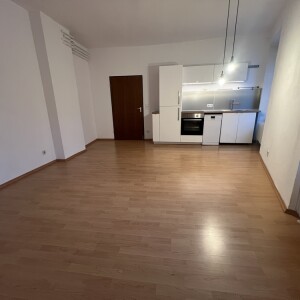 Wohn-Koch-Schlafbereich (2)