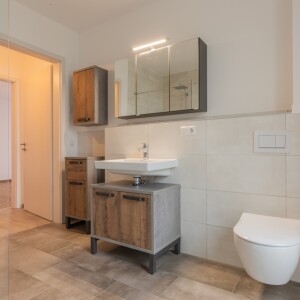 Tageslichtduschbad (2)