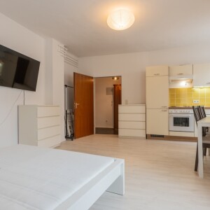 Wohn-Schlafkochbereich (1)