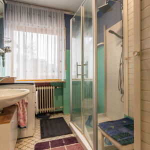 Tageslichtduschbad (EG)