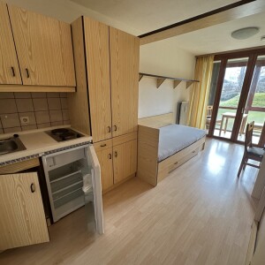 Wohn-Schlaf-Kochbereich (3)