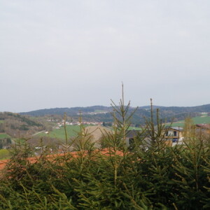 Ausblick (1)