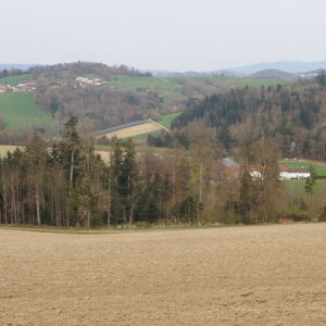 Ausblick (3)