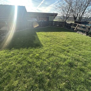 Garten 1