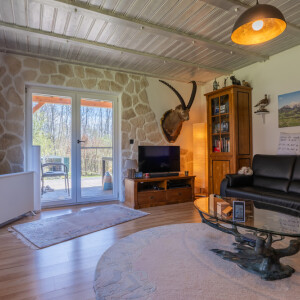 Wohnzimmer (2)