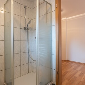 Tageslichtduschbad (2)