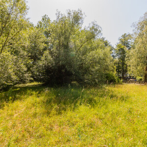 Ansicht (2)