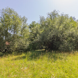 Ansicht (3)