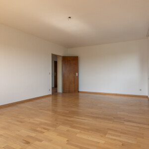 Wohnzimmer (2)