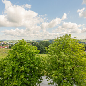 Ausblick