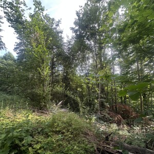 Ansicht (2)