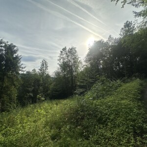Ansicht (4)