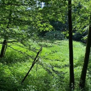 Foto3