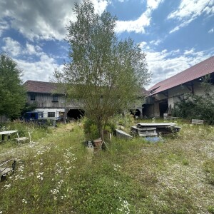 Hausansicht (2)