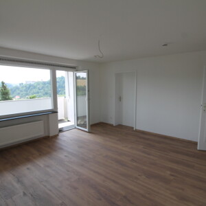 Wohnzimmer (1)