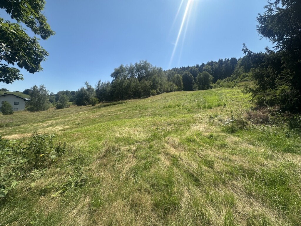 Freyung - Wiesengrundstücke Stadtrand Freyung