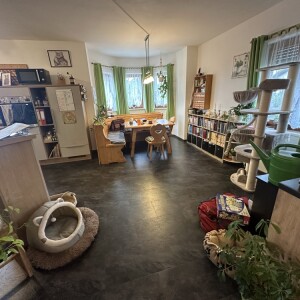 Wohn-Ess-Kochbereich (2)