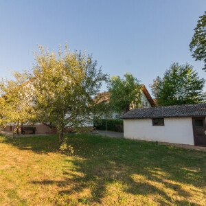 Garten (2)