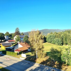 Ausblick (1)