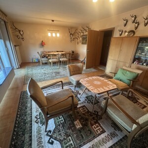 Wohnzimmer (2)