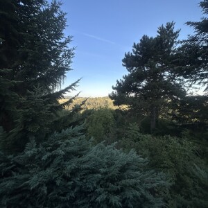 Ausblick (1)