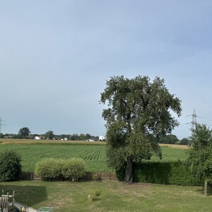 Ausblick (2)