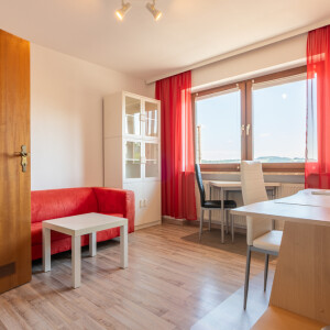 Wohnzimmer (1)