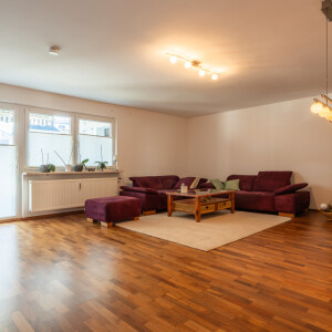 Wohnzimmer (1)