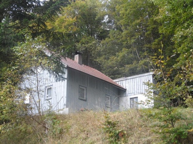 renovierungsbedürftiges Einfamilienhaus - Renovierungsbedürftiges Einfamilienhaus in Alleinlage Nähe Bischofsreut