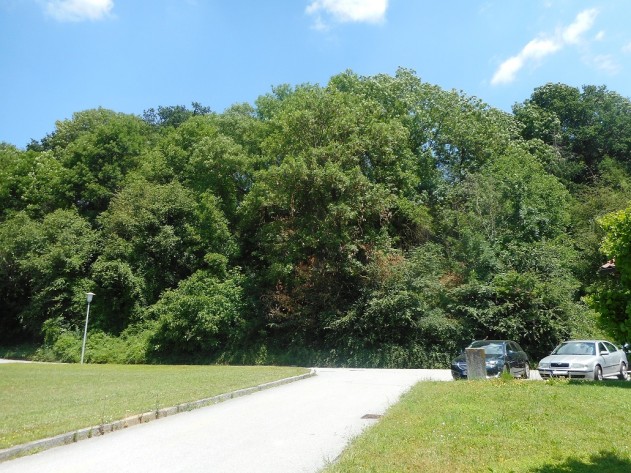 Baugrundstücke - Baugrundstücke in Hofkirchen