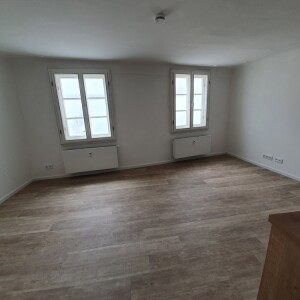 Wohn-Ess-Kochbereich