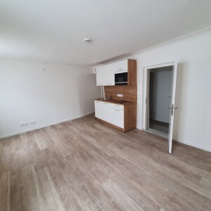 Wohn-Ess-Kochbereich (1)