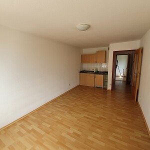 Wohn-Schlaf-Kochbereich (2)