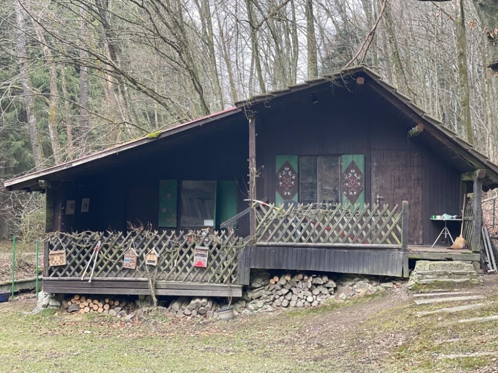 Immobilien Resch Freizeitgrundstück mit Fischteichen und Hütte Raum