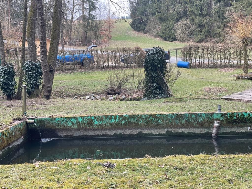 Immobilien Resch Freizeitgrundstück mit Fischteichen und Hütte Raum