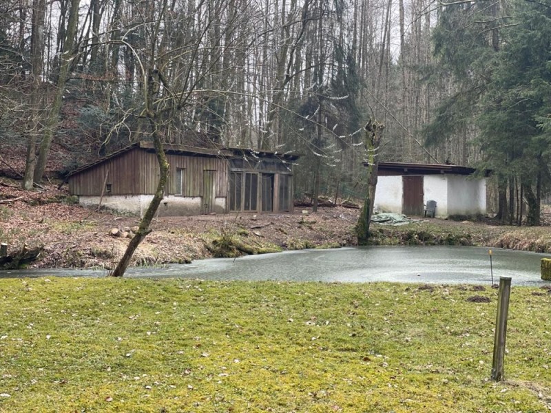 Immobilien Resch Freizeitgrundstück mit Fischteichen und Hütte Raum