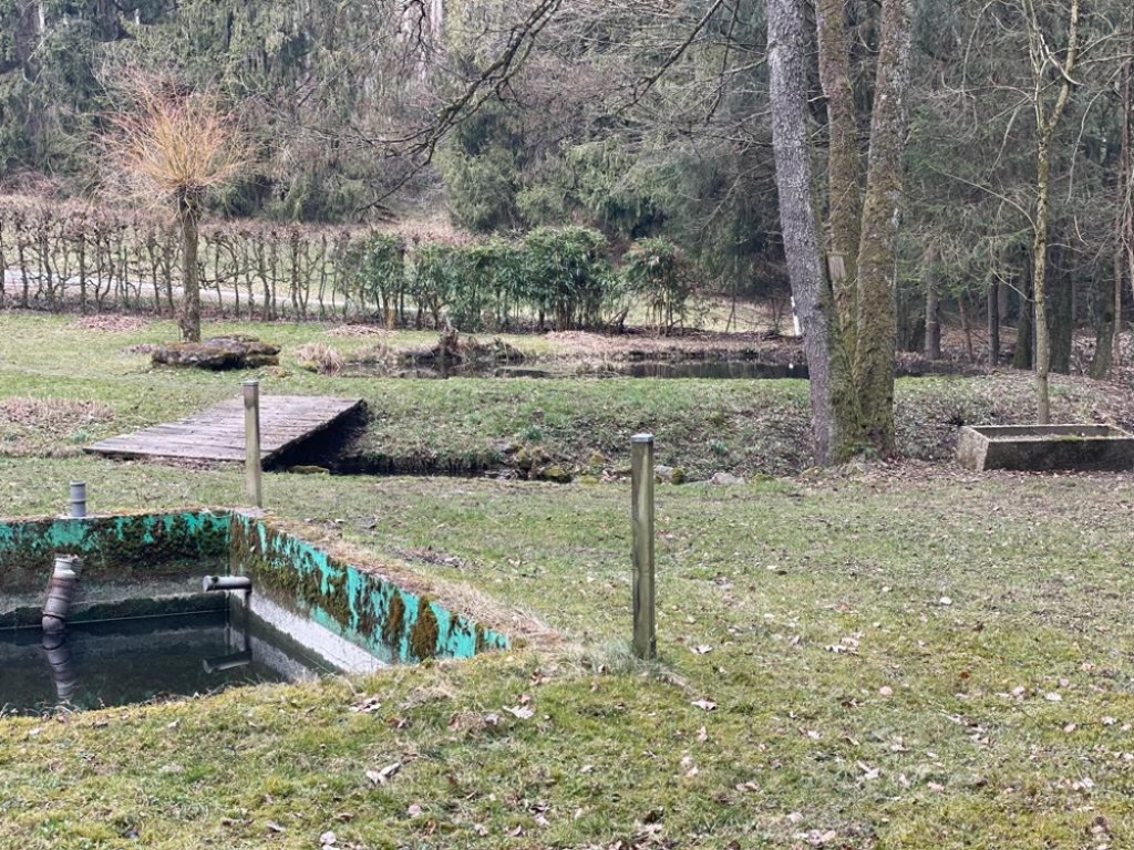 Immobilien Resch Freizeitgrundstück mit Fischteichen und Hütte Raum