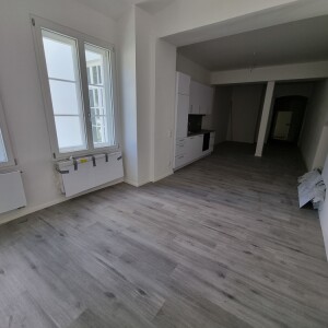 Wohn-Kochbereich (1)