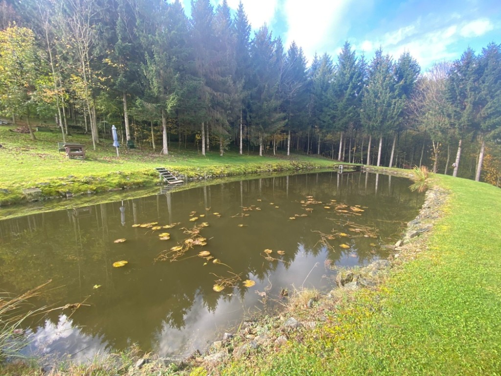 Immobilien Resch Freizeitgrundstück mit Donaublick Nähe Passau / A